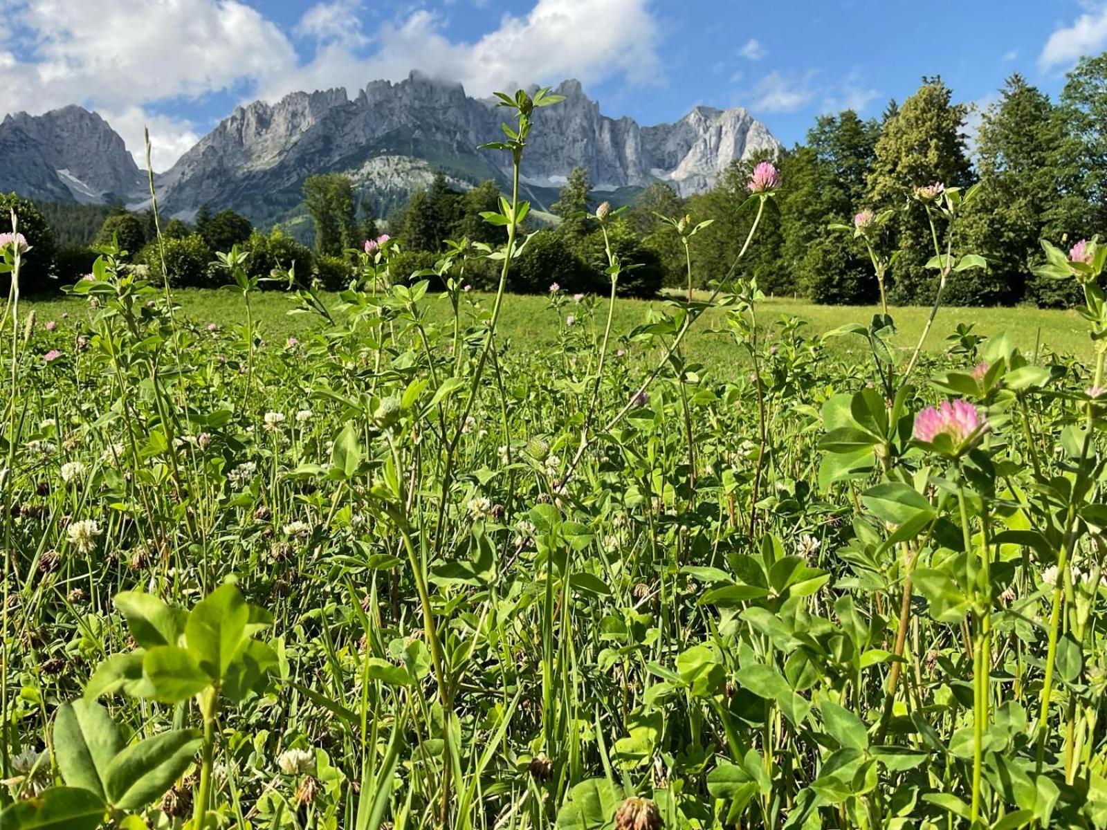 Kitz Deluxe Suite 1 & 2 Im Zentrum Mit Eigenem Spa & Parken By Belle-Stay Kitzbühel Exteriör bild